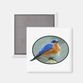 Bluebird in Oval Frame Magnet (Vorderseite/Rückseite)