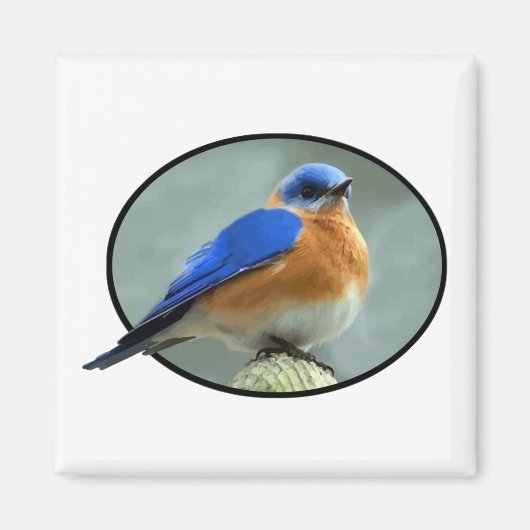 Bluebird in Oval Frame Magnet (Vorne)