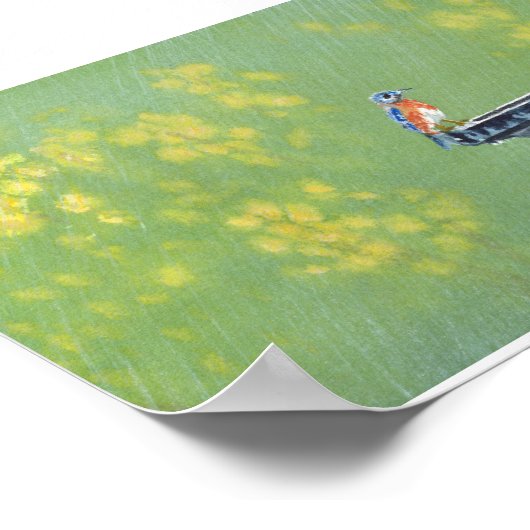 Bluebird in Rain Poster (Ecke)