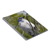 Bluebird in Tree (my photography) Notizblock (Rechte Seite)