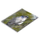 Bluebird in Tree (my photography) Notizblock (Linke Seite)