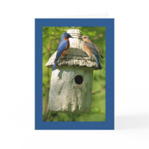 Bluebird-Jubiläumskarte