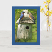 Bluebird-Jubiläumskarte Karte (Gelbe Blume)