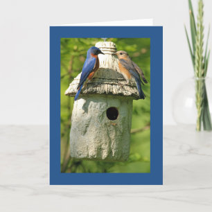 Bluebird-Jubiläumskarte Karte