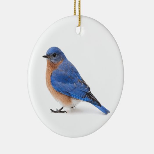 Bluebird Keramik Ornament (Rechts)