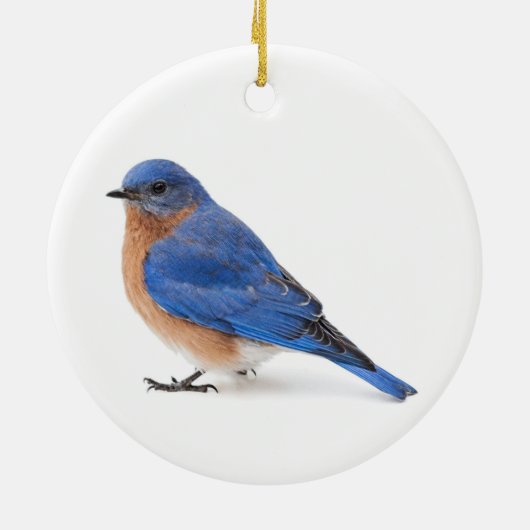 Bluebird Keramik Ornament (Hinten)
