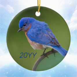 Bluebird Keramik Ornament