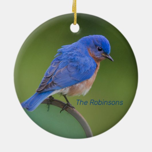 Bluebird Keramik Ornament (Hinten)