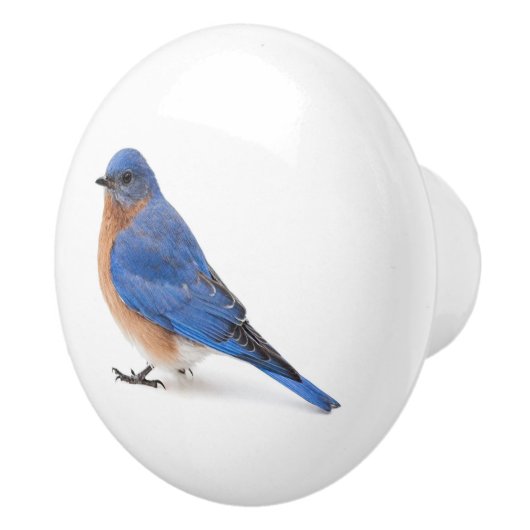 Bluebird Keramikknauf (Rechts)