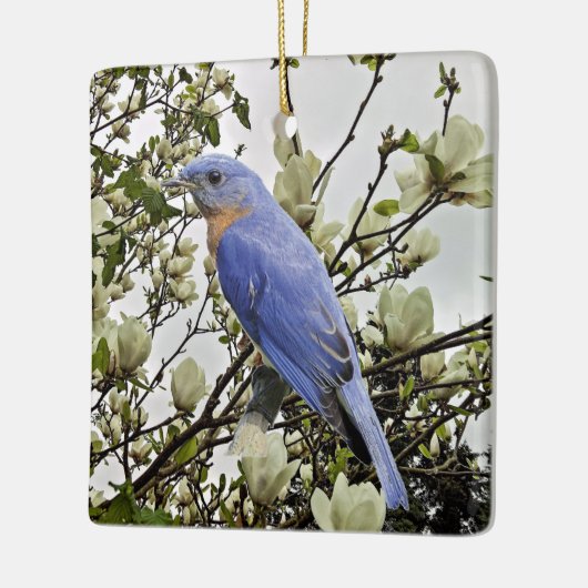 Bluebird Keramikornament (Links)