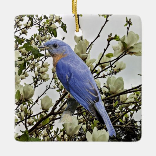 Bluebird Keramikornament (Vorderseite)