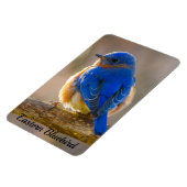 Bluebird Kühlschrank Magnet-Fotovorlage Magnet (Linke Seite)