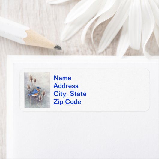 Bluebird Labels (Insitu)