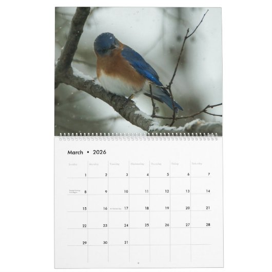 Bluebird Lovers Kalender (Mär 2026)