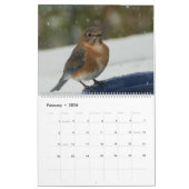 Bluebird Lovers Kalender (Feb 2026)