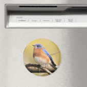 Bluebird Magnet (In Situ (Geschirrspüler))