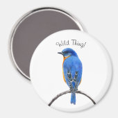 Bluebird Magnet (Vorderseite/Rückseite)