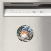 Bluebird Magnet (In Situ (Geschirrspüler))