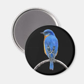 Bluebird Magnet (Vorderseite/Rückseite)