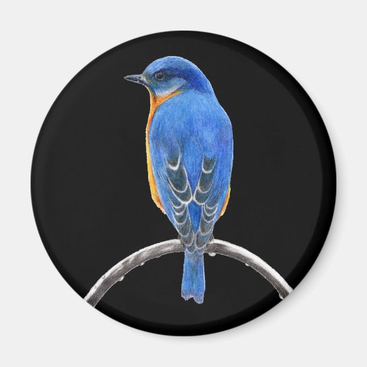 Bluebird Magnet (Vorne)