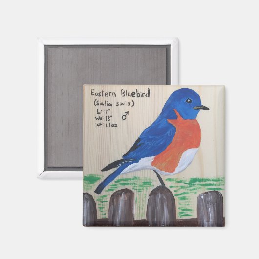 Bluebird Magnet (Vorderseite/Rückseite)