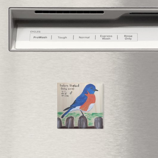 Bluebird Magnet (In Situ (Geschirrspüler))