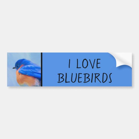 Bluebird-Malerei - Original Bird Art Autoaufkleber (Vorne)