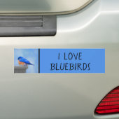 Bluebird-Malerei - Original Bird Art Autoaufkleber (Auf Auto)