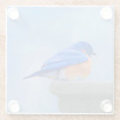 Bluebird-Malerei - Original Bird Art Glasuntersetzer (Rückseite)