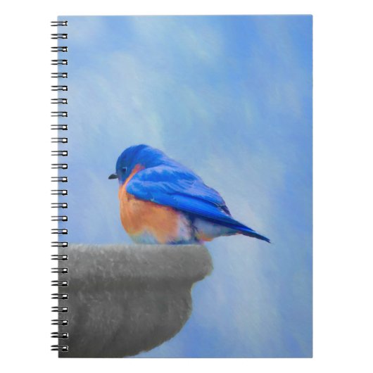 Bluebird-Malerei - Original Bird Art Notizblock (Vorderseite)