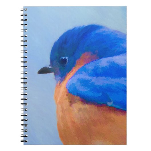 Bluebird-Malerei - Original Bird Art Notizblock (Vorderseite)