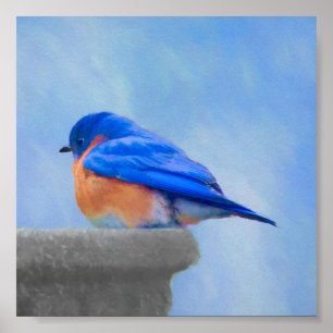 Bluebird-Malerei - Original Bird Art Poster