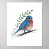 Bluebird-Malkunst Print Poster (Vorne)