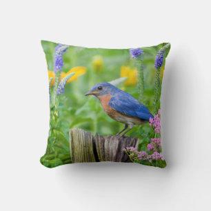 Bluebird-Männchen auf Zaunpfosten im Blumengarten Kissen