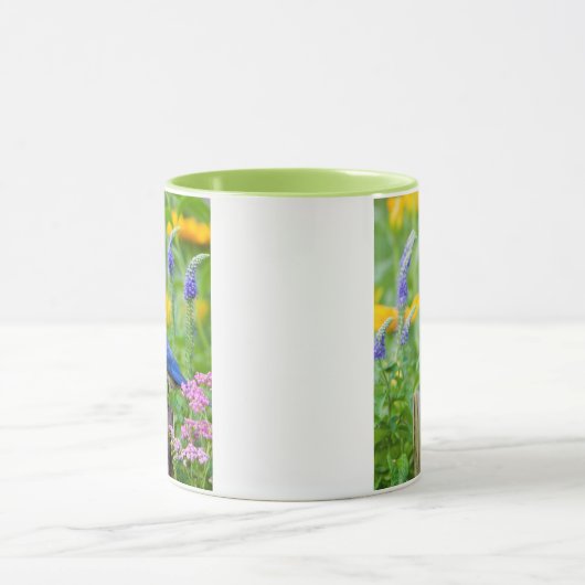 Bluebird-Männchen auf Zaunpfosten im Blumengarten Tasse (Zentrum)