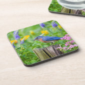 Bluebird-Männchen auf Zaunpfosten im Blumengarten Untersetzer (Linke Seite)