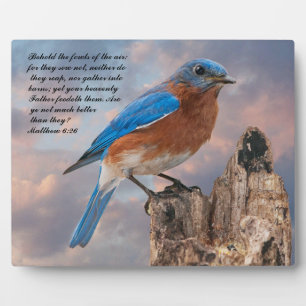 BLUEBIRD - Matthew 6:26 Fotoplatte