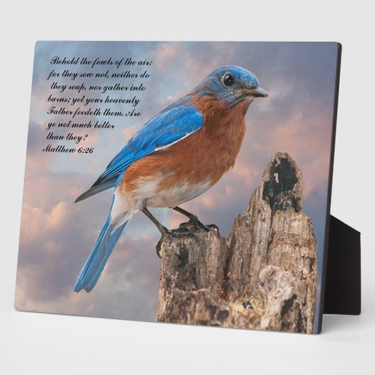 BLUEBIRD - Matthew 6:26 Fotoplatte (Seite)