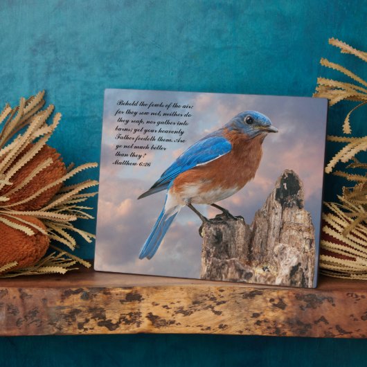 BLUEBIRD - Matthew 6:26 Fotoplatte (Seite)