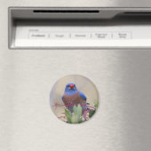 Bluebird mit Berry Magnet (In Situ (Geschirrspüler))