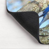 Bluebird Mousepad (Ecke)