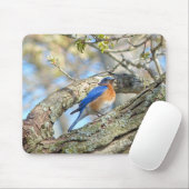 Bluebird Mousepad (Mit Mouse)