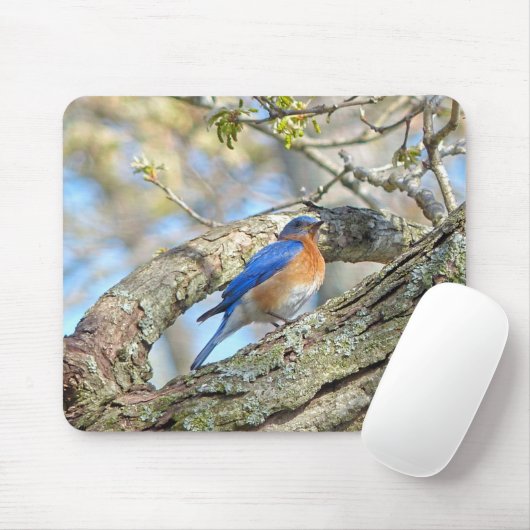 Bluebird Mousepad (Mit Mouse)