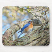 Bluebird Mousepad (Vorne)