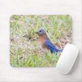 Bluebird Mousepad (Mit Mouse)