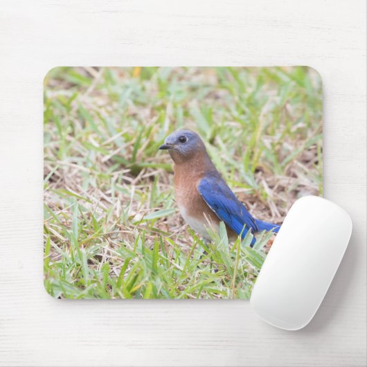 Bluebird Mousepad (Mit Mouse)