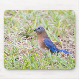 Bluebird Mousepad