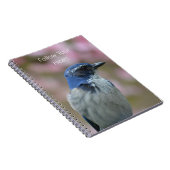 Bluebird (my photography) notizblock (Rechte Seite)