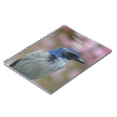 Bluebird (my photography) notizblock (Linke Seite)