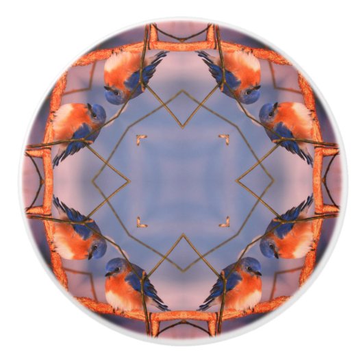 Bluebird Nature Abstrakt Art Keramikknauf (Vorderseite)